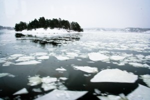 IMG_5126