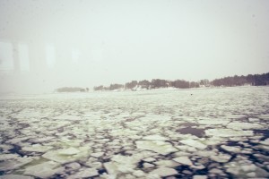 IMG_5127
