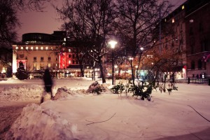 IMG_5190