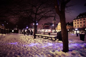 IMG_5210