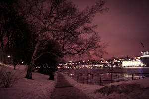 IMG_5257
