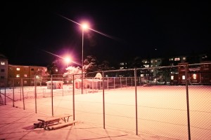 IMG_5281