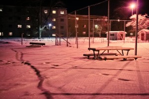 IMG_5286