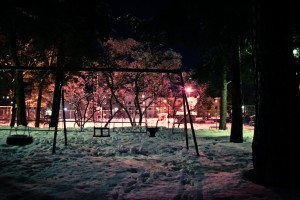 IMG_5293
